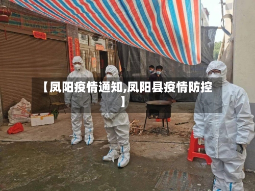 【凤阳疫情通知,凤阳县疫情防控】-第2张图片