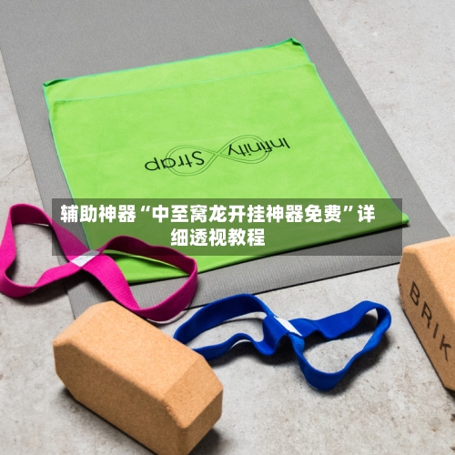 辅助神器“中至窝龙开挂神器免费”详细透视教程