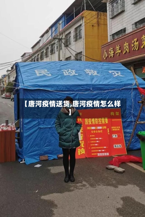 【唐河疫情送货,唐河疫情怎么样】-第2张图片