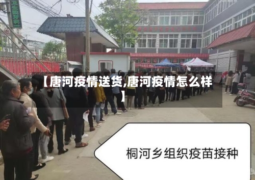 【唐河疫情送货,唐河疫情怎么样】