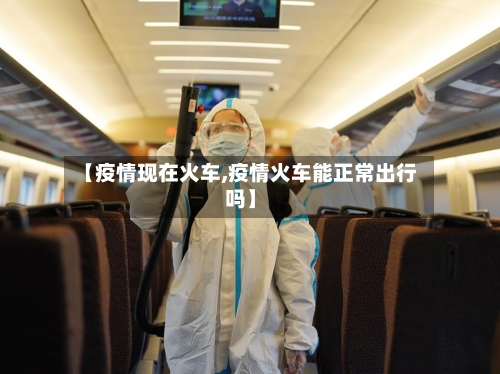 【疫情现在火车,疫情火车能正常出行吗】-第2张图片