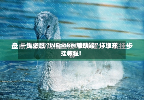 一键必胜“WEpoker辅助器”详细开挂教程!
