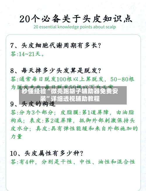 秒懂经验“微壳跑胡子辅助器免费安装”详细透视辅助教程