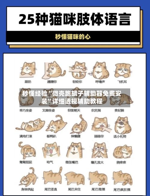 秒懂经验“微壳跑胡子辅助器免费安装”详细透视辅助教程-第2张图片