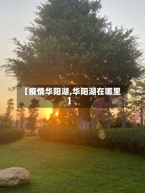 【疫情华阳湖,华阳湖在哪里】
