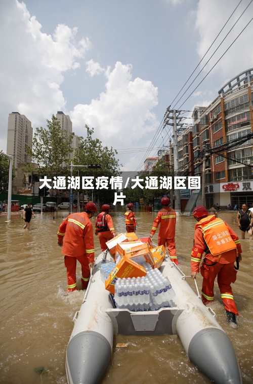 大通湖区疫情/大通湖区图片