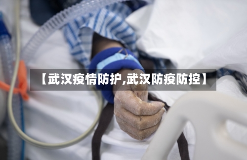 【武汉疫情防护,武汉防疫防控】-第3张图片