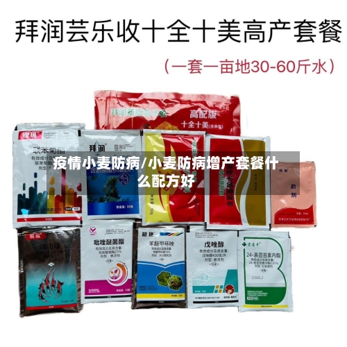 疫情小麦防病/小麦防病增产套餐什么配方好-第3张图片