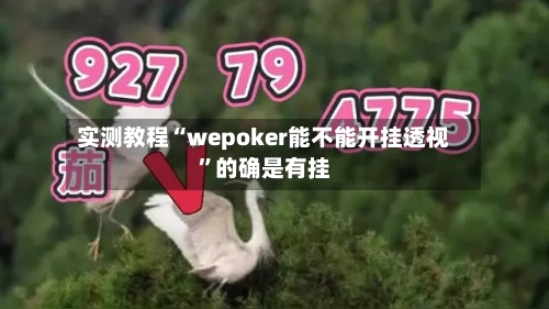 实测教程“wepoker能不能开挂透视”的确是有挂