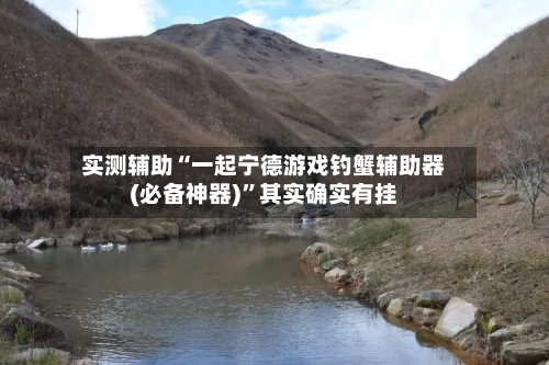 实测辅助“一起宁德游戏钓蟹辅助器(必备神器)”其实确实有挂-第2张图片