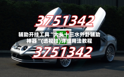辅助开挂工具“大头十三水外卦辅助神器“(透视挂)详细用法教程-第2张图片