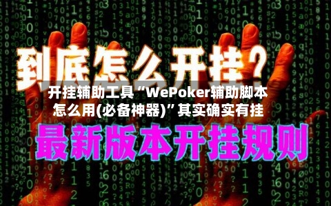 开挂辅助工具“WePoker辅助脚本怎么用(必备神器)”其实确实有挂