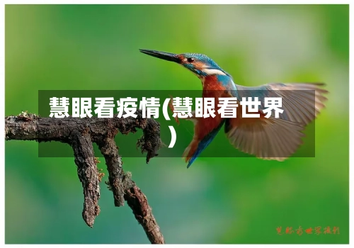 慧眼看疫情(慧眼看世界)