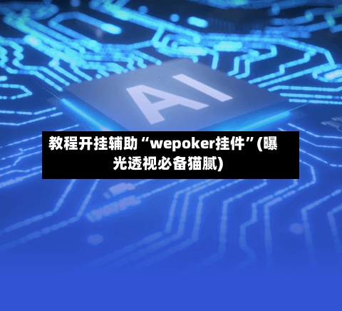 教程开挂辅助“wepoker挂件”(曝光透视必备猫腻)-第3张图片