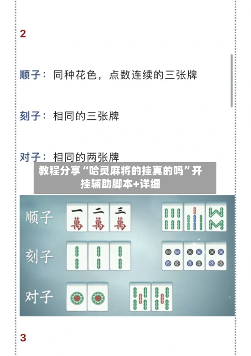 教程分享“哈灵麻将的挂真的吗”开挂辅助脚本+详细