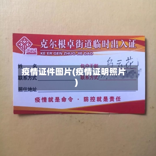 疫情证件图片(疫情证明照片)-第1张图片