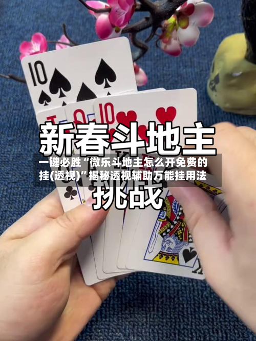 一键必胜“微乐斗地主怎么开免费的挂(透视)”揭秘透视辅助万能挂用法