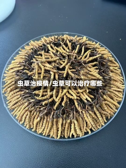 虫草治疫情/虫草可以治疗哪些-第2张图片