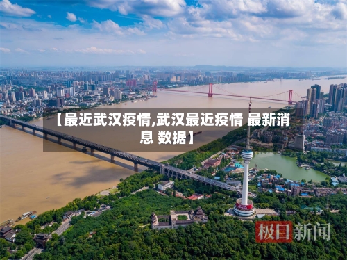【最近武汉疫情,武汉最近疫情 最新消息 数据】-第3张图片