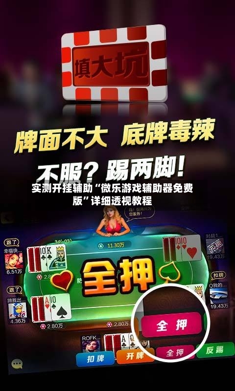 实测开挂辅助“微乐游戏辅助器免费版”详细透视教程-第1张图片