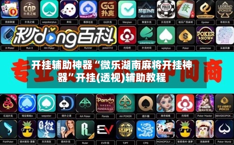 开挂辅助神器“微乐湖南麻将开挂神器”开挂(透视)辅助教程-第2张图片