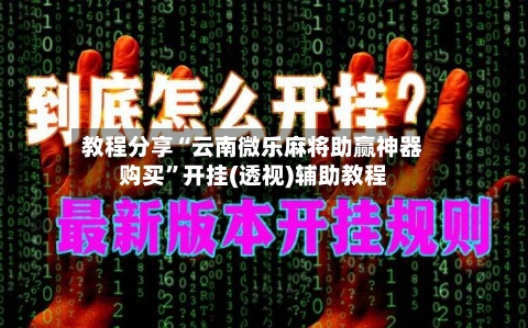 教程分享“云南微乐麻将助赢神器购买”开挂(透视)辅助教程-第2张图片