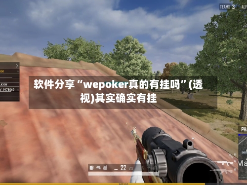 软件分享“wepoker真的有挂吗”(透视)其实确实有挂