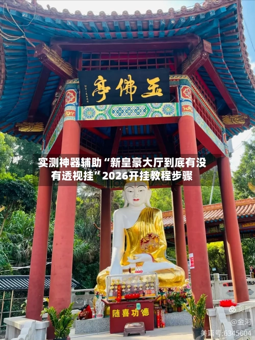 实测神器辅助“新皇豪大厅到底有没有透视挂”2026开挂教程步骤-第1张图片