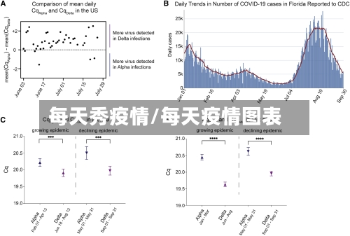 每天秀疫情/每天疫情图表