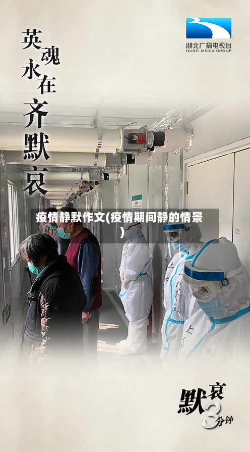 疫情静默作文(疫情期间静的情景)