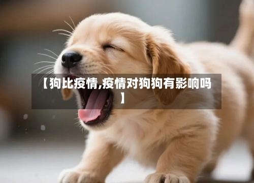 【狗比疫情,疫情对狗狗有影响吗】