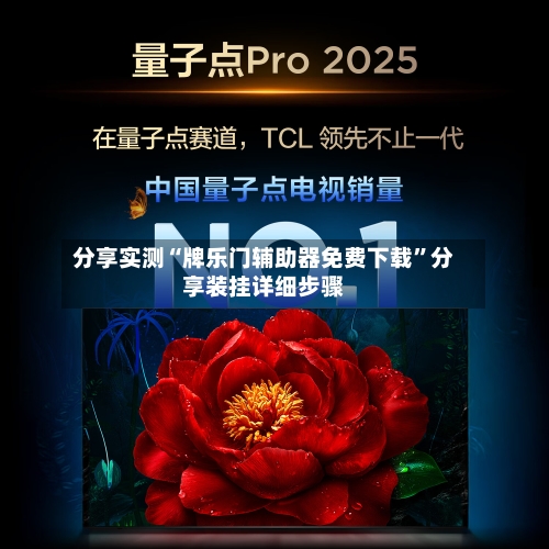 分享实测“牌乐门辅助器免费下载”分享装挂详细步骤