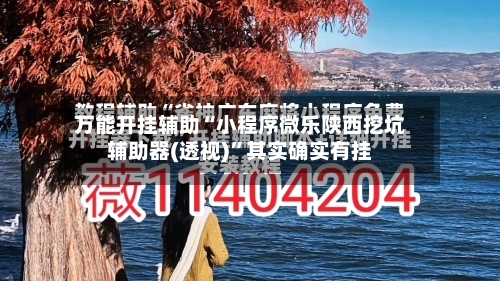 万能开挂辅助“小程序微乐陕西挖坑辅助器(透视)”其实确实有挂