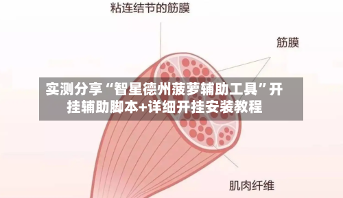 实测分享“智星德州菠萝辅助工具”开挂辅助脚本+详细开挂安装教程