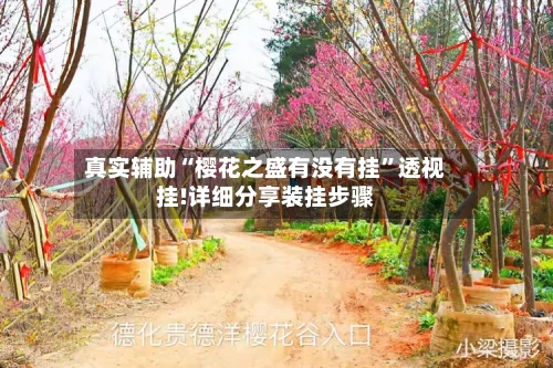 真实辅助“樱花之盛有没有挂”透视挂!详细分享装挂步骤-第2张图片