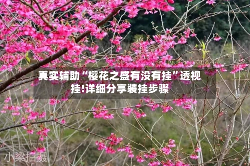 真实辅助“樱花之盛有没有挂”透视挂!详细分享装挂步骤