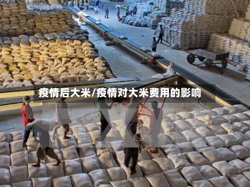 疫情后大米/疫情对大米费用的影响-第1张图片
