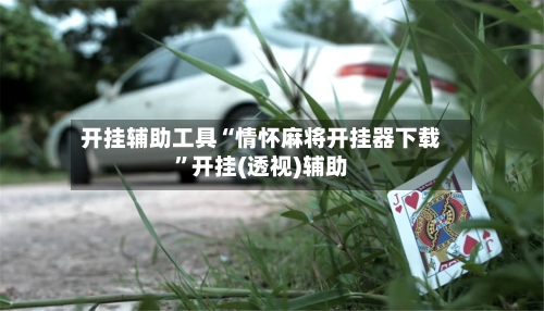 开挂辅助工具“情怀麻将开挂器下载	”开挂(透视)辅助-第2张图片