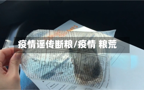 疫情谣传断粮/疫情 粮荒
