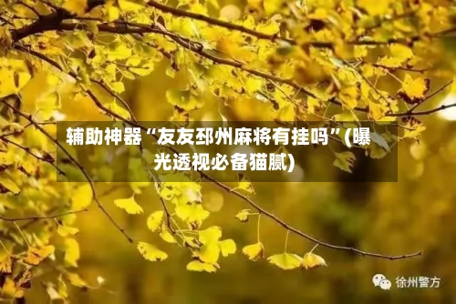 辅助神器“友友邳州麻将有挂吗”(曝光透视必备猫腻)
