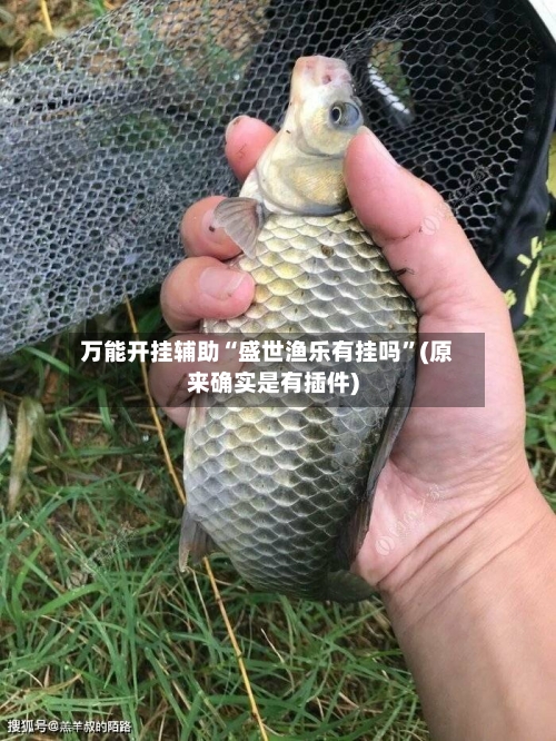万能开挂辅助“盛世渔乐有挂吗”(原来确实是有插件)