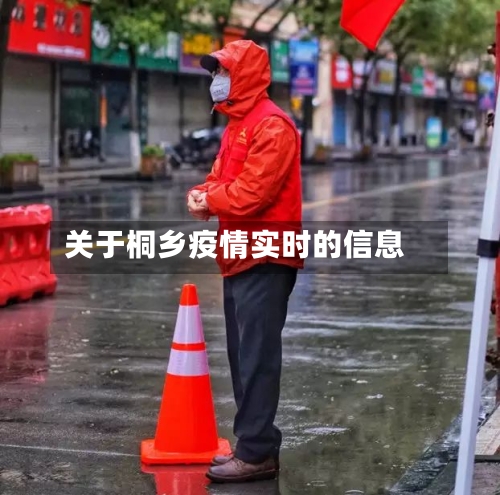 关于桐乡疫情实时的信息