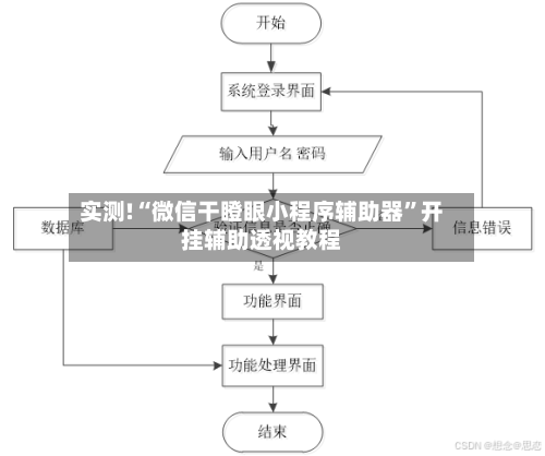 实测!“微信干瞪眼小程序辅助器”开挂辅助透视教程
