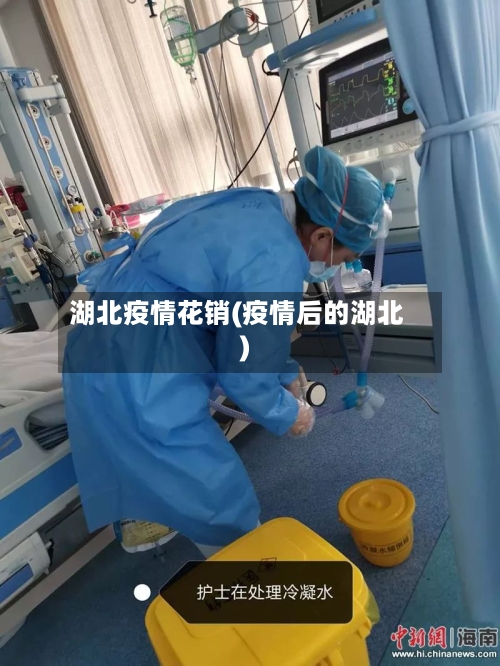 湖北疫情花销(疫情后的湖北)