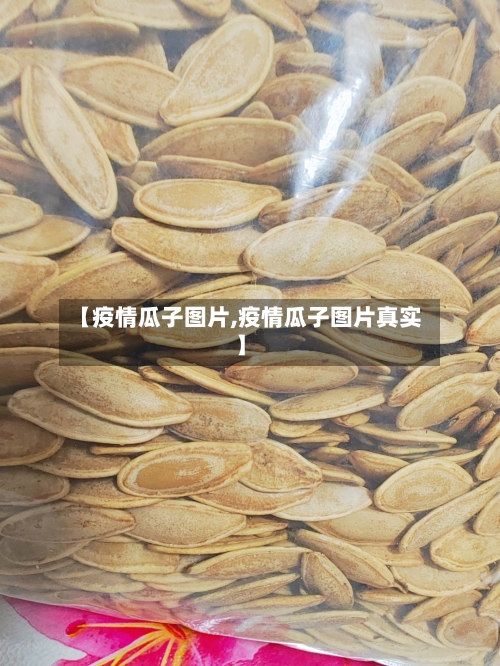 【疫情瓜子图片,疫情瓜子图片真实】-第2张图片