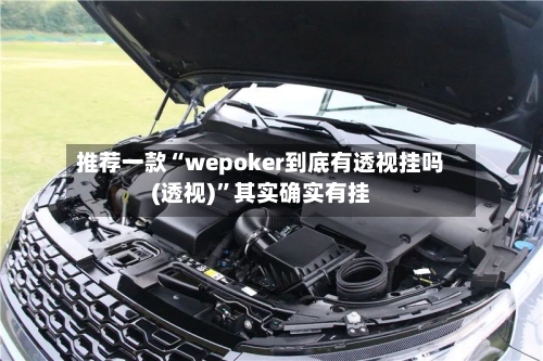 推荐一款“wepoker到底有透视挂吗(透视)”其实确实有挂