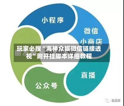 玩家必搜“海神众娱微信链接透视”附开挂脚本详细教程