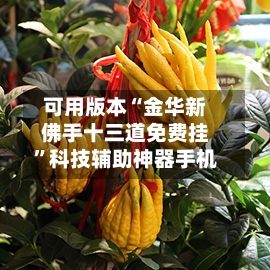 可用版本“金华新佛手十三道免费挂”科技辅助神器手机