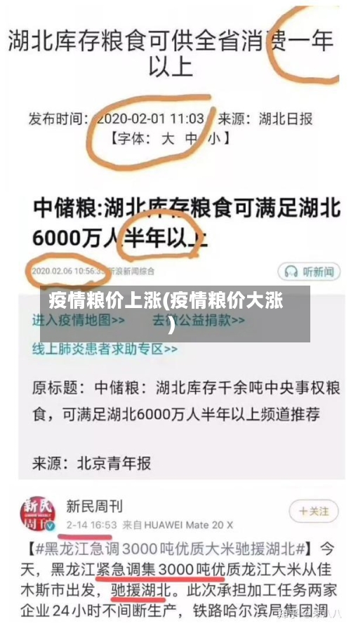 疫情粮价上涨(疫情粮价大涨)-第2张图片
