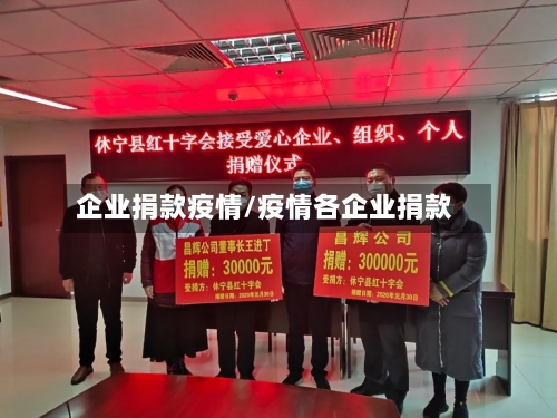 企业捐款疫情/疫情各企业捐款-第2张图片